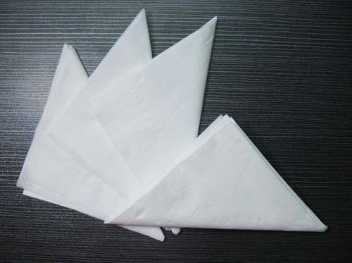 Paper Napkin